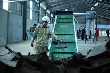 Sản xuất gạch cao su từ lốp ô tô phế thải